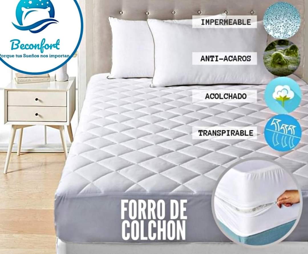 WhatsApp Image 2022-10-06 at 15.58.29