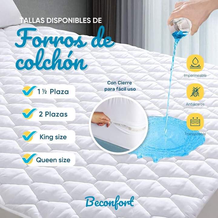 WhatsApp Image 2022-10-06 at 15.58.29