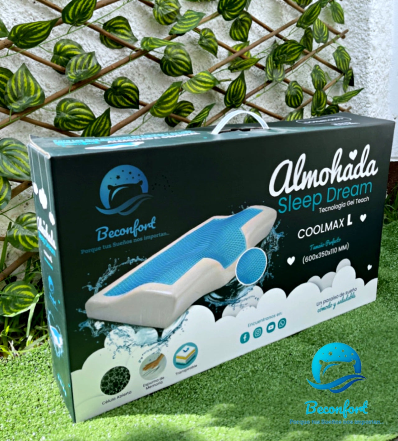 76631BD5-1E44-4972-8453-A2ABD9A041CD